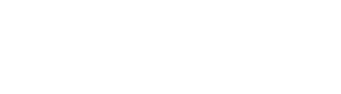 Timeless Studio, LLC Logo